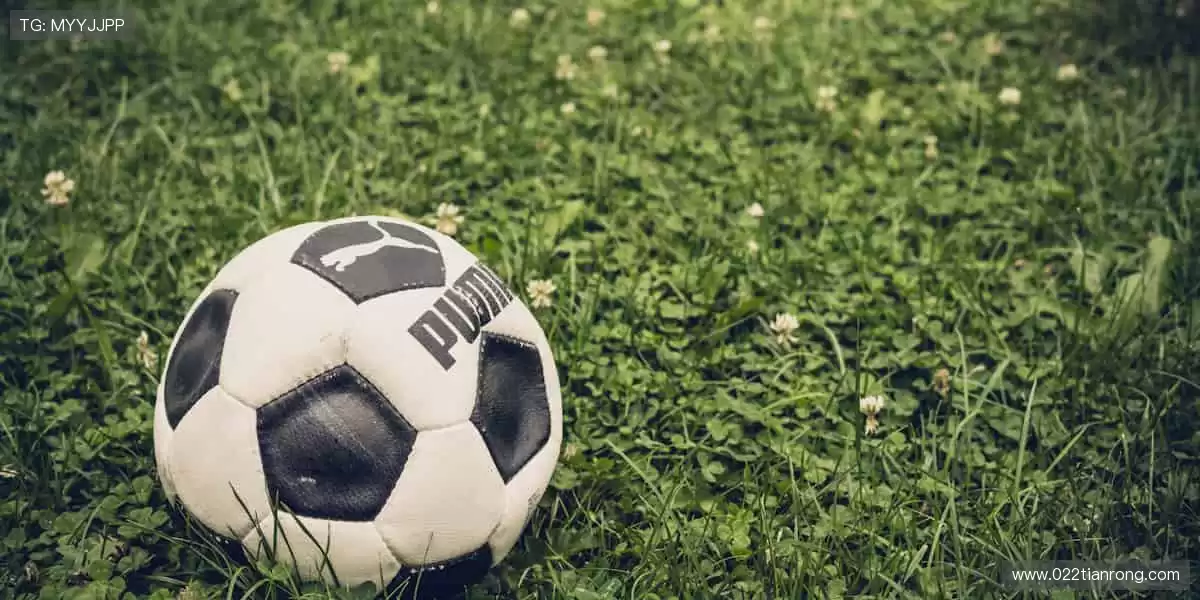 🏃♂️挑战极限,突破自我,赛事因你而闪耀!